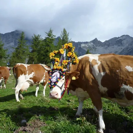 Zajazd Berghof Schladming