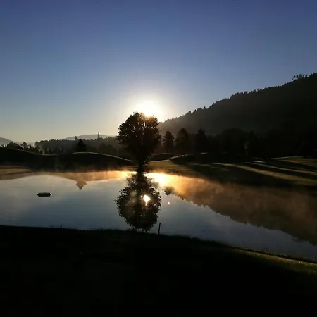 Han/Misafirhane Berghof Schladming