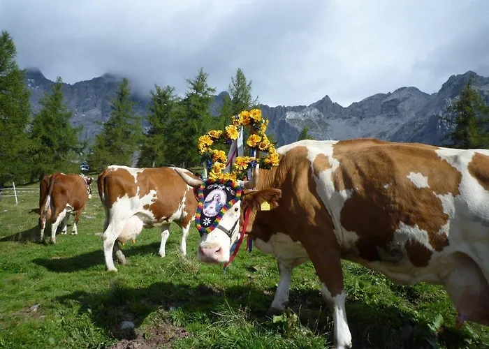 Мініготель Berghof Шладмінг