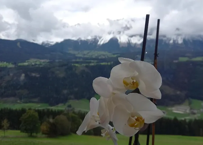 Berghof 3* سخلادميخ